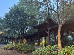 -泰州凤城河风景区-泰山公园