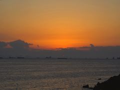 -吴淞炮台湾湿地森林公园烧烤区