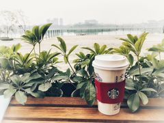 -星巴克(成都科学城店)