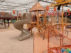 -南宫五洲植物乐园