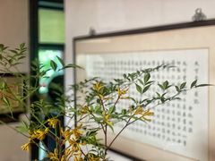 -大可堂普洱茶馆(襄阳南路馆)