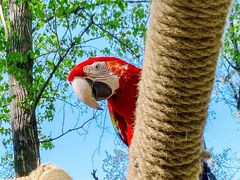 -北京野生动物园