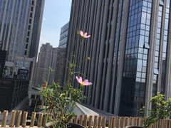 -瓦库茶馆17号(海汇港店)