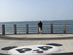 -万绿园