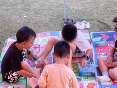 -春花秋色城市公园