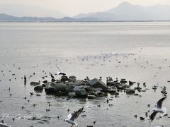 -深圳湾公园(南山区)