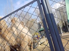 -长白岛森林公园