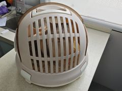 -总动员动物医院(宝丰院店)