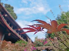 -峨眉山报国寺