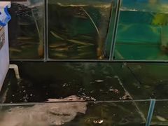 -竹语饭香·原生态农庄·烧鸡·竹筒饭·河鲜(森林海白水寨店)