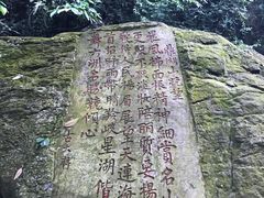 -鼎湖山风景区