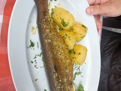 -布劳伽斯特豪夫哈尔施塔特宾馆