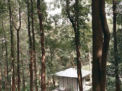 -中国茶叶博物馆(双峰馆区)