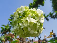 -大龙山(地铁站)