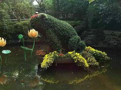 -汇龙潭