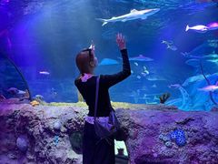 -沈阳海洋探索中心