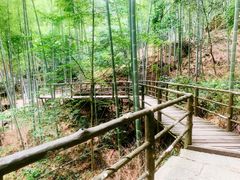 -山沟沟景区