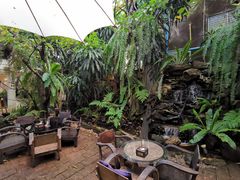 -Fern Forest Cafe
