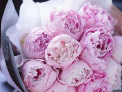 -花生FM_FLOWERS