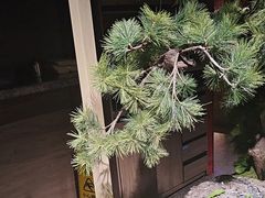 -芝小官毛肚火锅海鲜自助(淮安清江浦区新亚店)