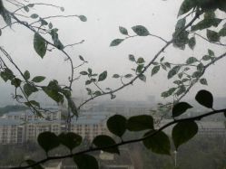 点击看大图 -热发型