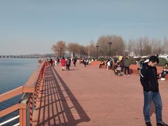 -丁香湖公园