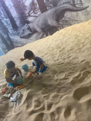 -恐龙探索乐园(磁器口店)