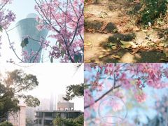 -狐尾山公园