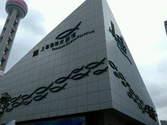 -上海海洋水族馆-停车场