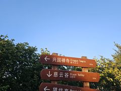 -千佛山风景名胜区
