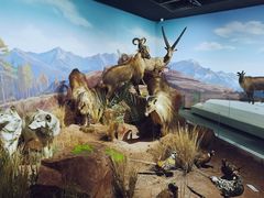 -陕西自然博物馆