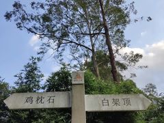 -火炉山森林公园