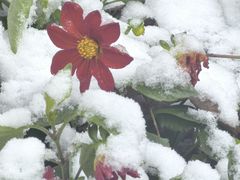 -铁路江上俱乐部