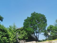 -鹦鹉寺公园