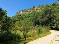 -原山国家森林公园