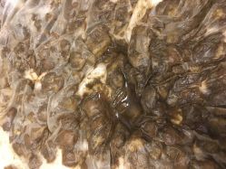 -姜美堂·蒸姜除湿の纤体美颜馆