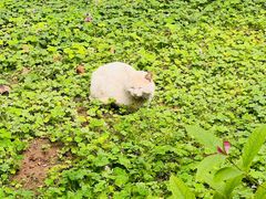 -石家庄市植物园