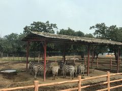 -西安秦岭野生动物园