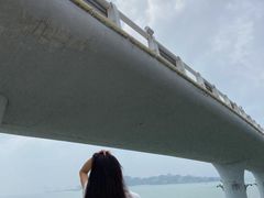 -演武大桥观景平台