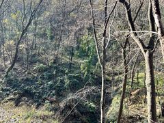 -终南山国家森林公园