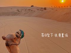 -迪拜沙漠冲沙