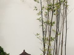 -古琴台