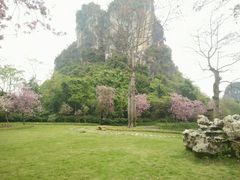 -南宁花花大世界景区