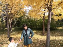 -北极寺公园