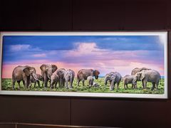 -罗红摄影艺术馆