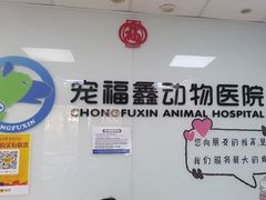 -宠福鑫动物医院(城北分院)