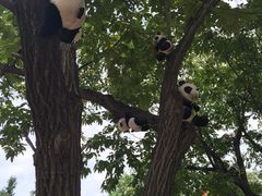 -西安秦岭野生动物园