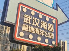 -海合安武汉极地海洋公园