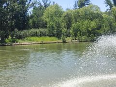 -银树楼(紫玉山庄东区店)