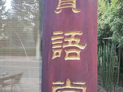 -声色音乐文化艺术空间